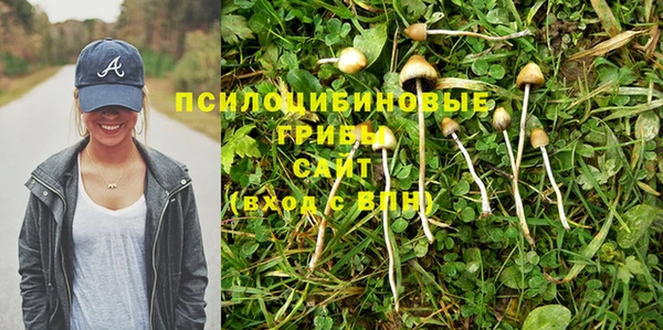 бутират Баксан