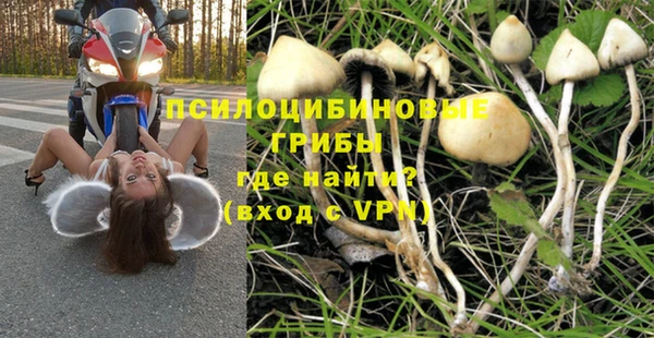 бутират Баксан
