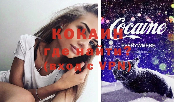 дживик Балахна
