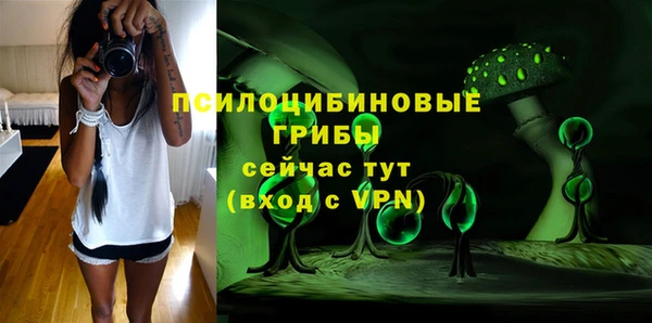 дживик Балахна