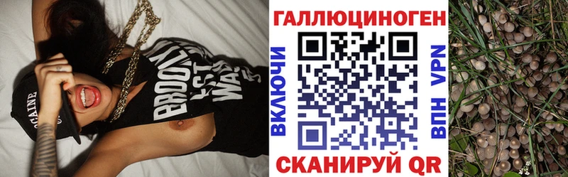 где найти Озёры Псилоцибиновые грибы MAGIC MUSHROOMS